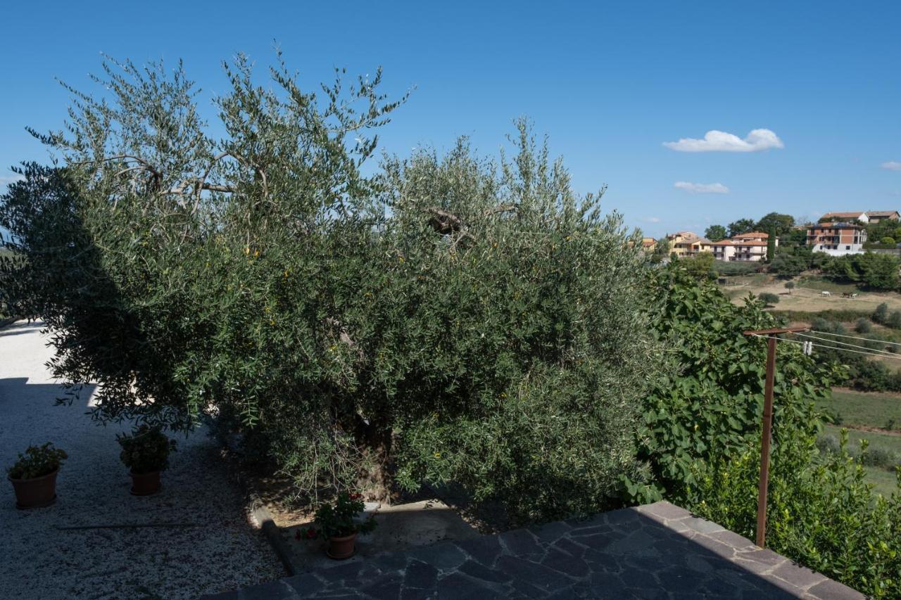 La Casa Di Sara Apartment Città della Pieve Екстериор снимка